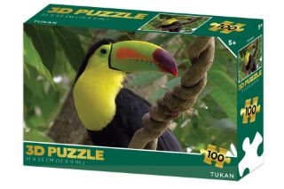 Obrázek z Puzzle 3D - Tukan 100 dílků 